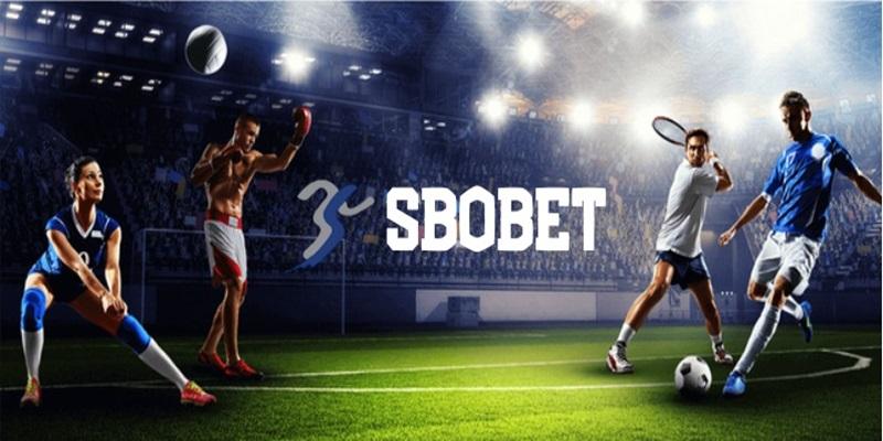 Sbobet Vipwin - Tổng Hợp Bộ Môn Thể Thao Hot