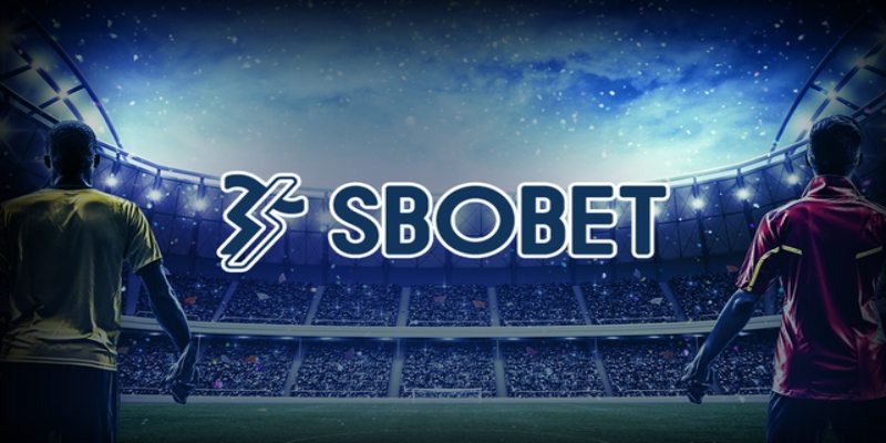 Những dữ liệu cần nắm đối với sảnh Sbobet vipwin